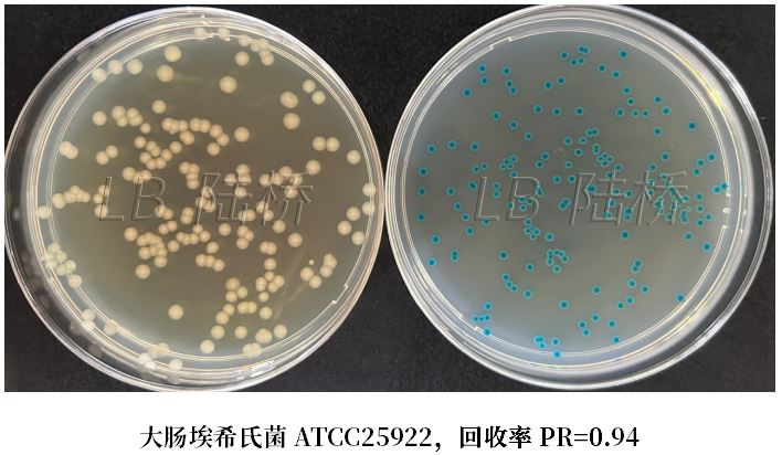 GB 4789.38－2025《食品安全國家標(biāo)準(zhǔn)　食品微生物學(xué)檢驗　大腸埃希氏菌計數(shù)》解讀
