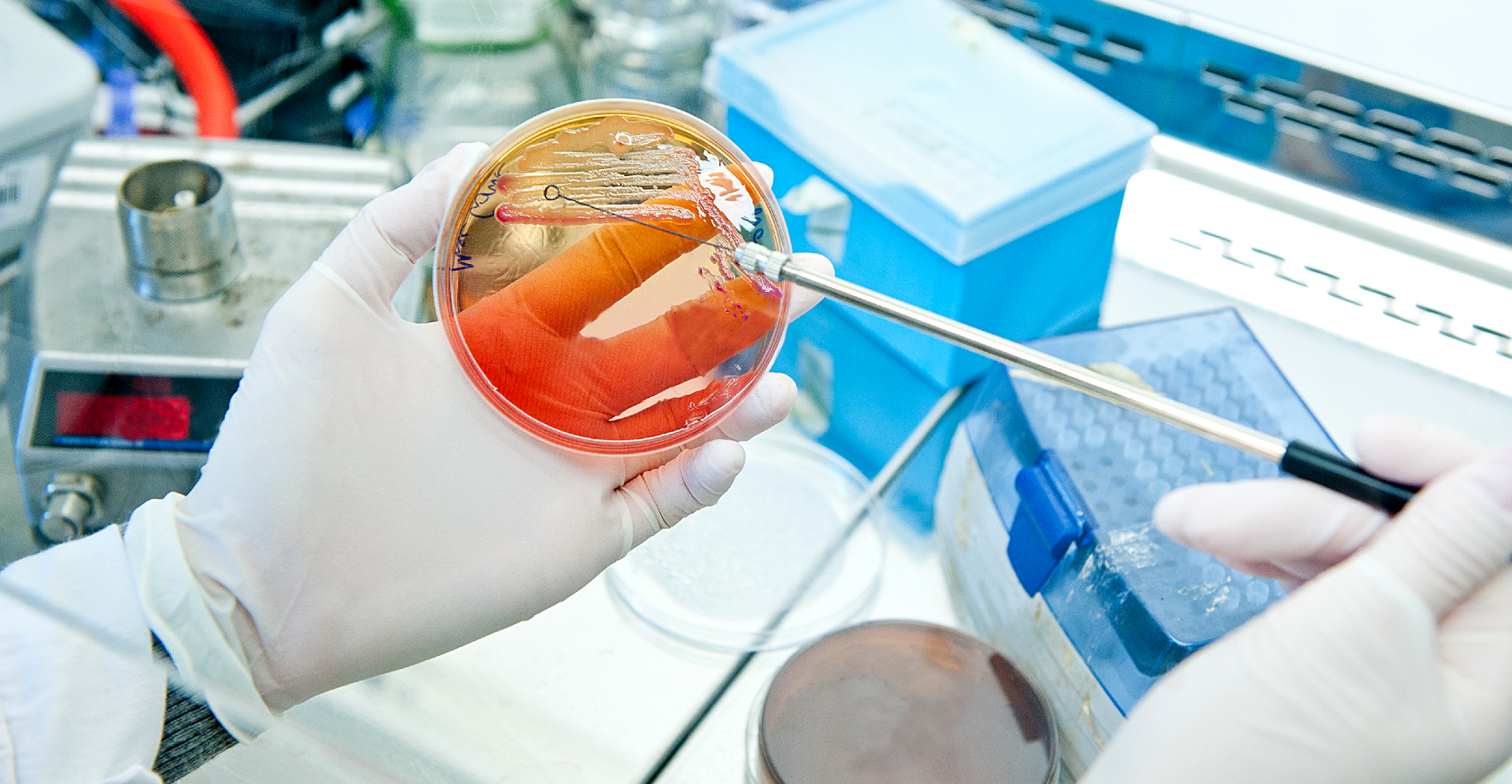 北京陸橋：GB 15979-2024 一次性衛生用品檢測用產品列表